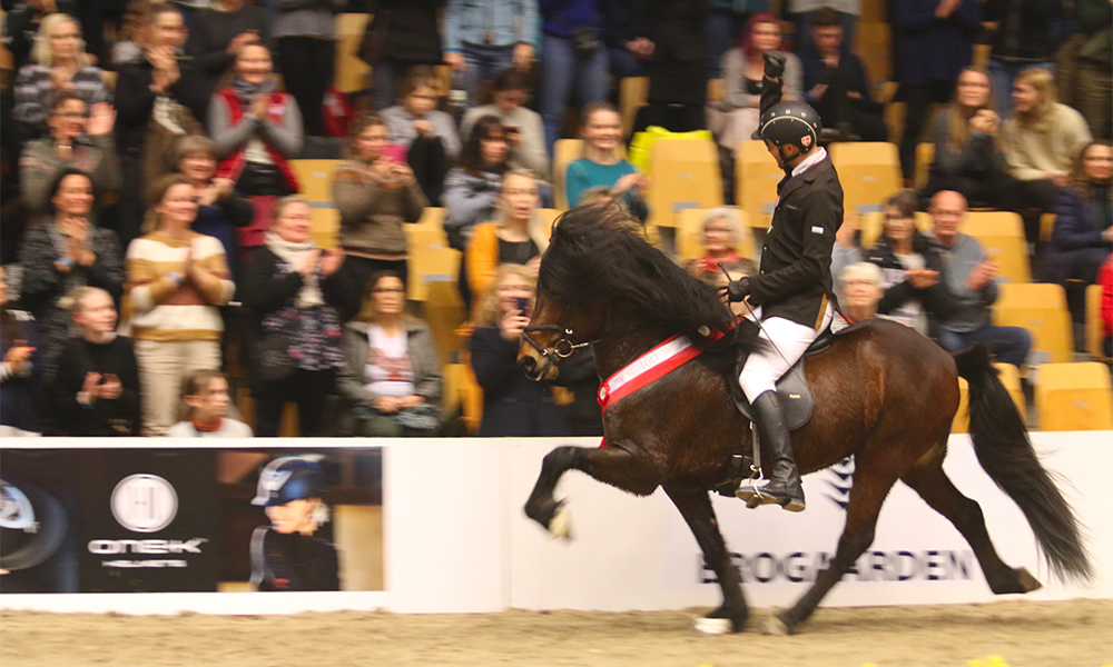 WorldTölt: Jón & Eilífur gewinnen Fünfgang-Krone