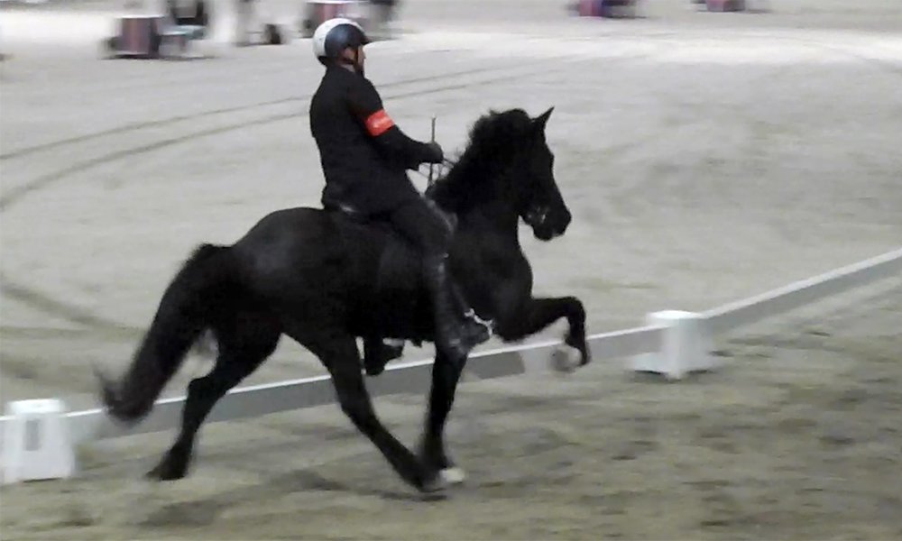 EIC: Karly und Esmée toppen Vorrunden in T3/T4