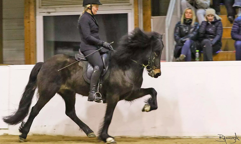 Nord-Meisterklasse: Mette gewinnt V1 in Akureyri