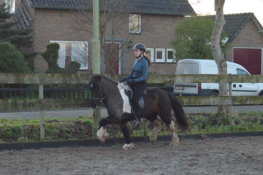 Review: Eques jodhpur breeches