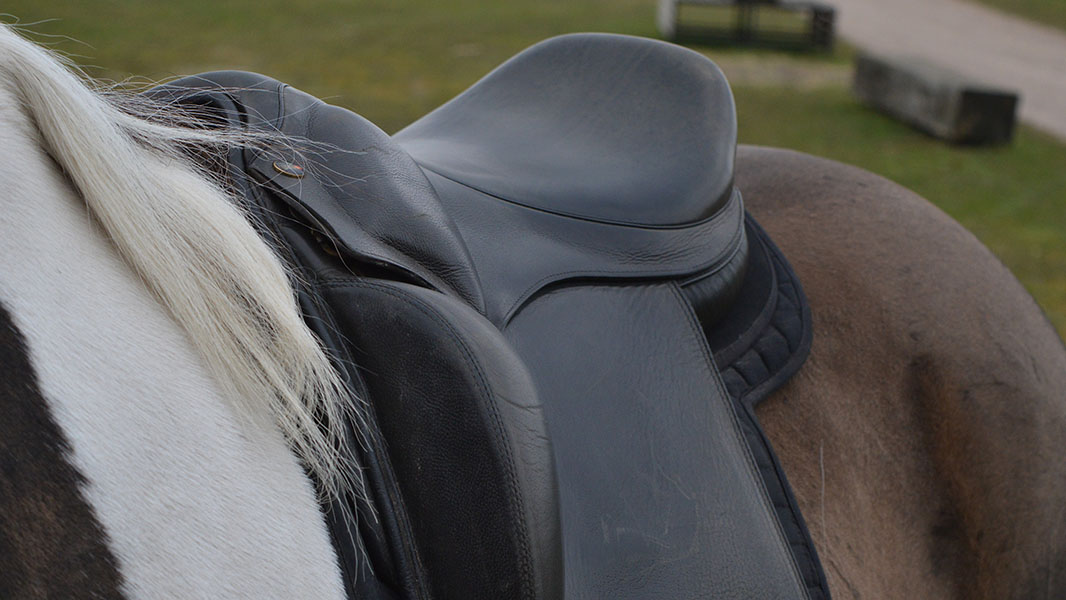 Finding the perfect saddle for an imperfect rider