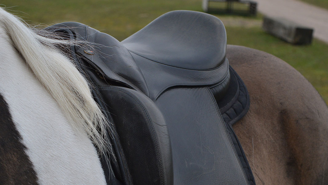 Stirrup leathers above or under the saddle flap?