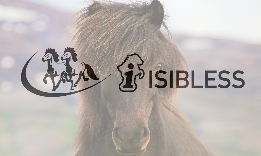 IPZV & isibless gemeinsam: Online-Sport mit Quali