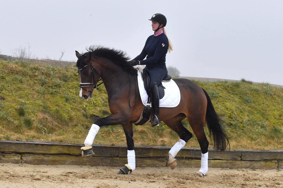 Interview with dressage and Icelandic horse rider Simone Hoppe part 2