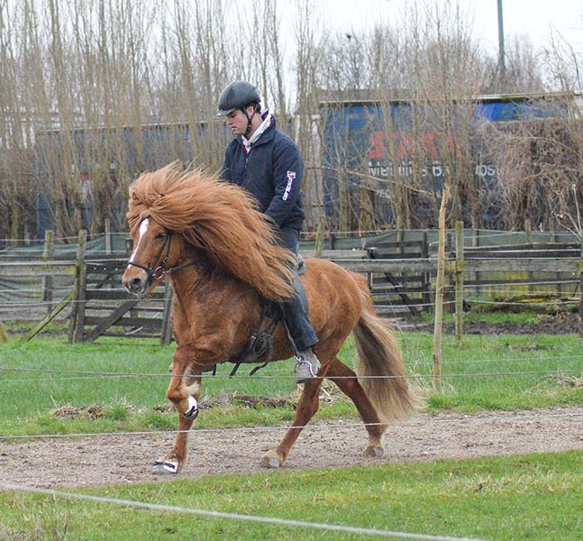 Para rider: Koen Elsenaar from NL