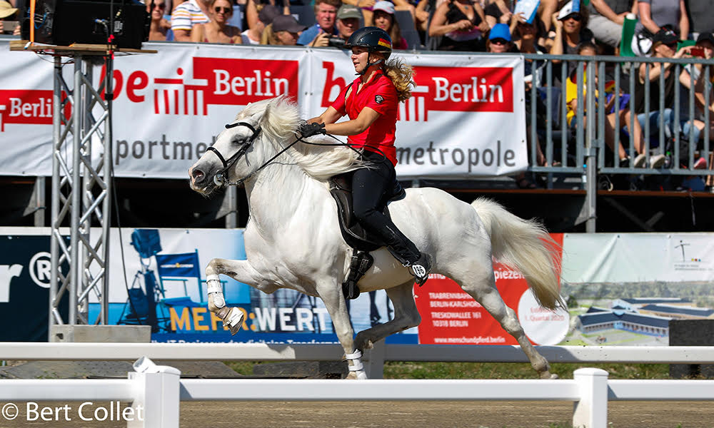 Amazing pacehorses: Víf van ‘T groote veld