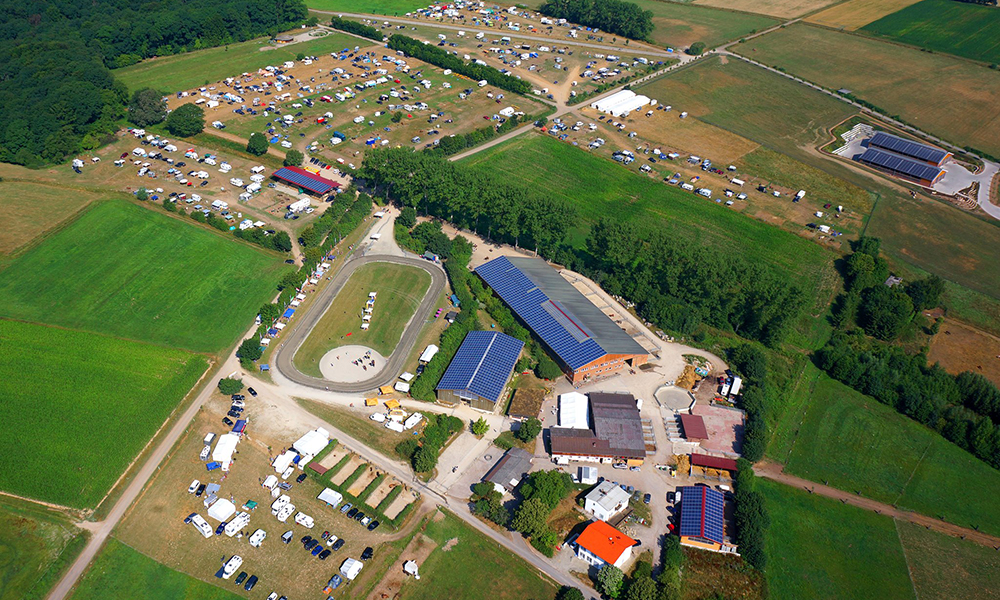 24 Pferde bei FIZO auf Ellenbach heute ab 8 Uhr