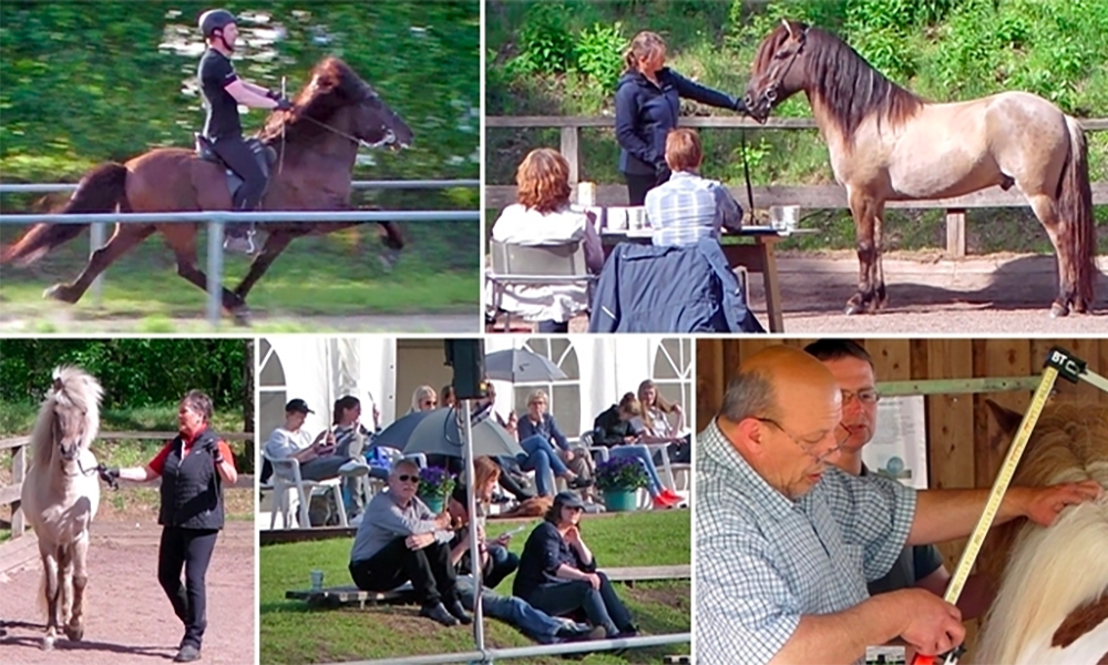 Lingen lädt ein: Emsland-FIZO vom 30.7.-1.8.