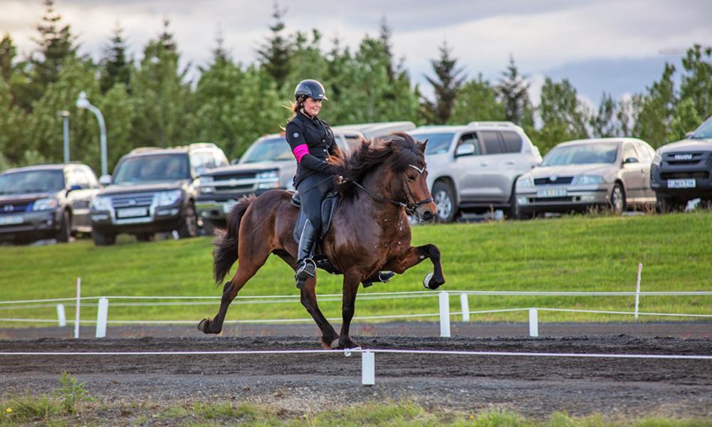 Ragga, Teitur, Aðalheiður, Viðar win big in Reykjavík