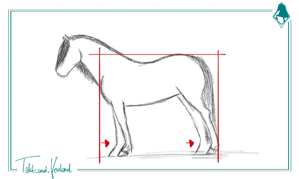 Wertvolle Blickschule: Der Schwerpunkt des Pferdes