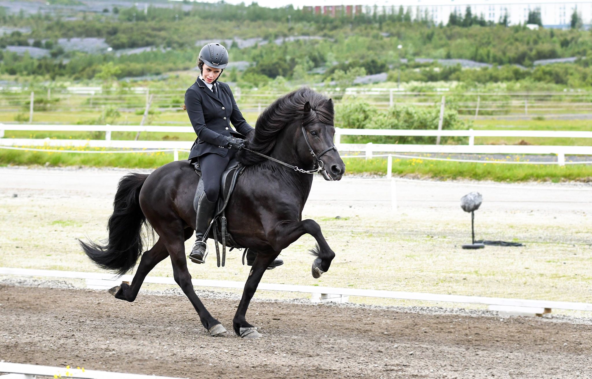 Interview with Aðalheiður Anna Guðjónsdóttir