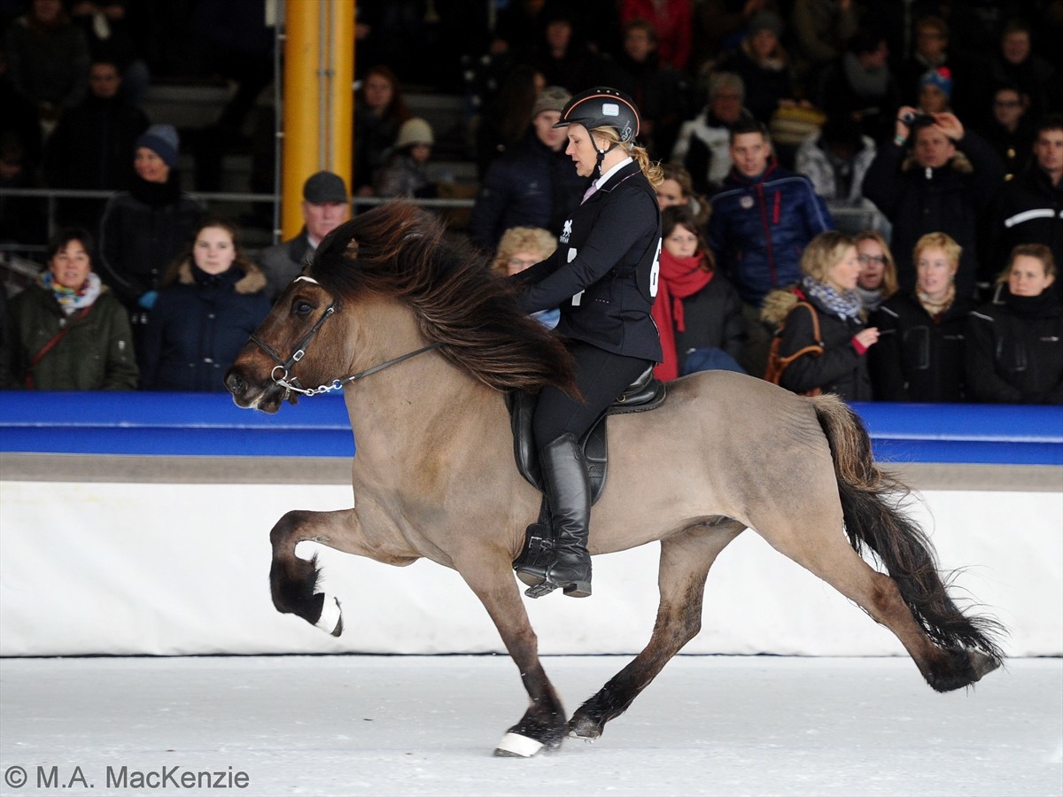 Para rider: Cunera Rauwerda from NL