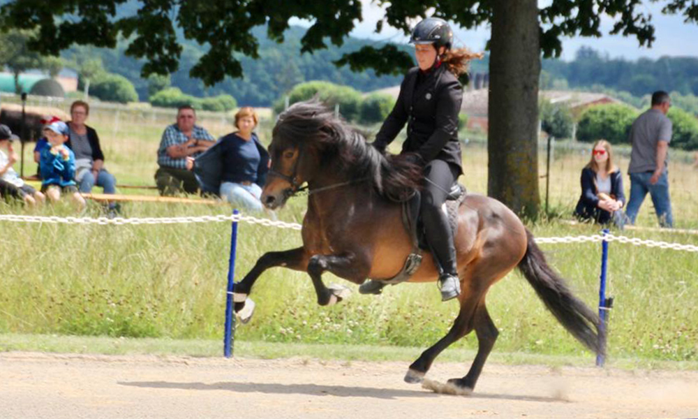 Rappenhof: Milena, Fiona, Christine, Lena toppen QT