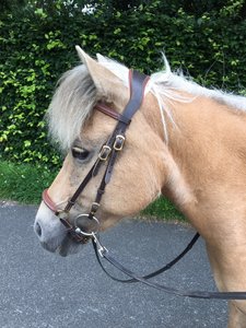 Review: Westeind Comfort headstall