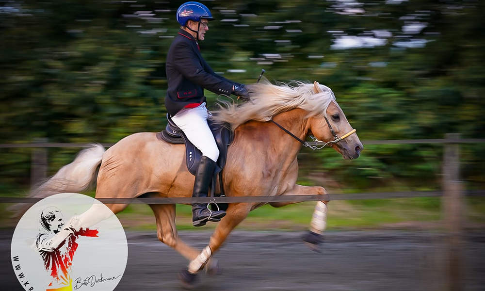 Funny Icelandic horse names part 2