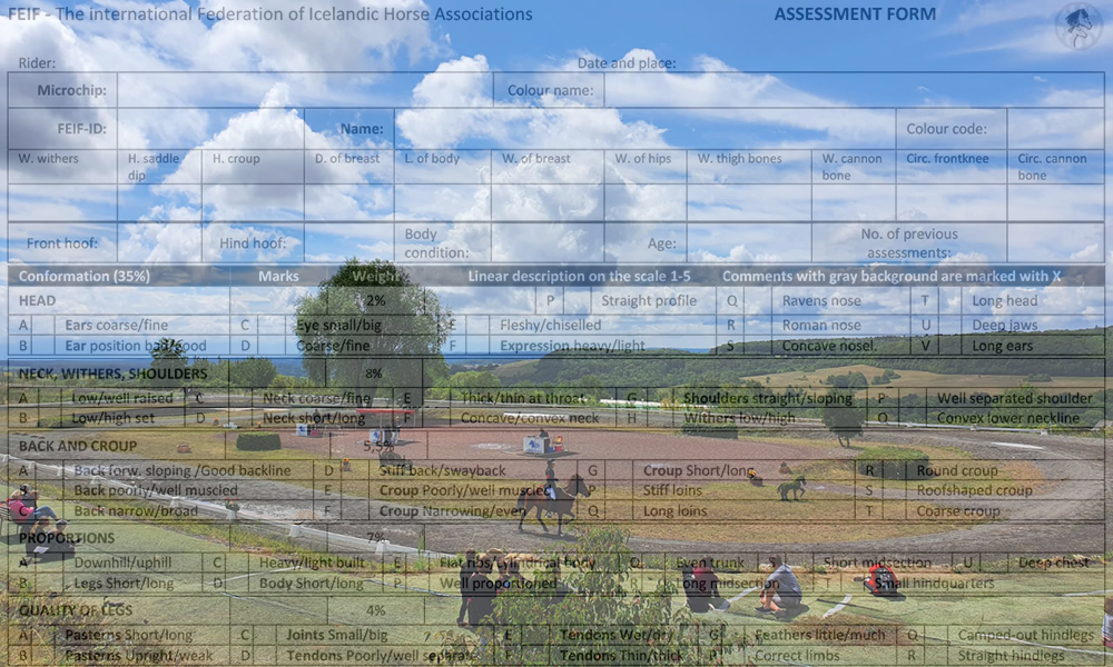 Panorama-FIZO voraus: bis DO für Grenzland nennen