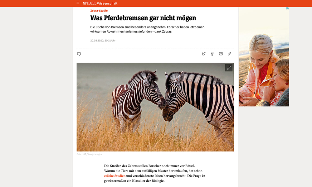 Das Zebra schreckt die Bremse ab: wussten wir ;-)