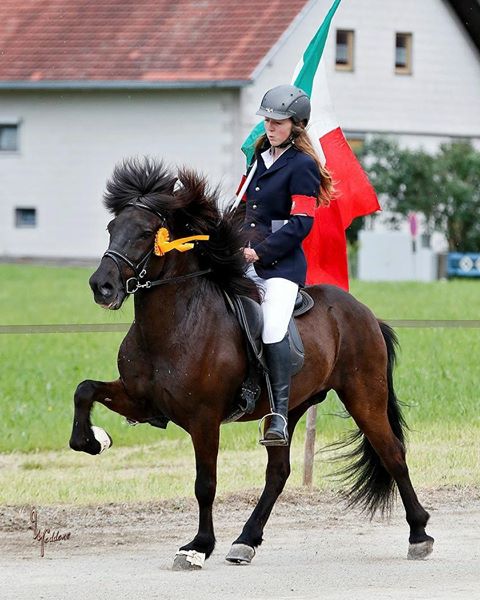 Nathalie Schmid: Icelandic horses in Bella Italia