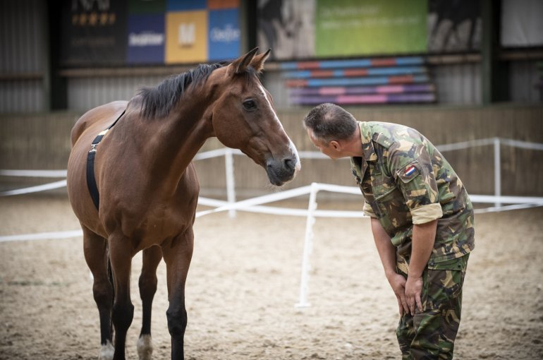 Univ. Utrecht Research: Can horses help veterans?