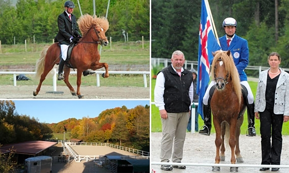 100 first-prize horses “frá Auðsholtshjáleigu”