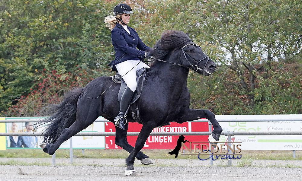 Laura, Alina, Fanny, Siggi, Merle jubeln in Lingen