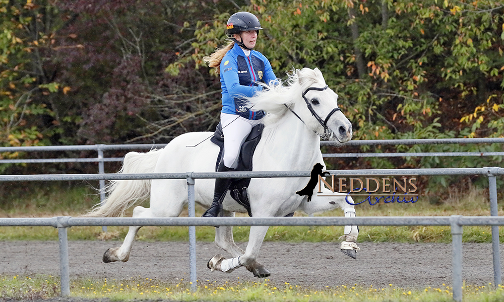 Pass-Knaller in Lingen: Helen vor Ladina und Siggi