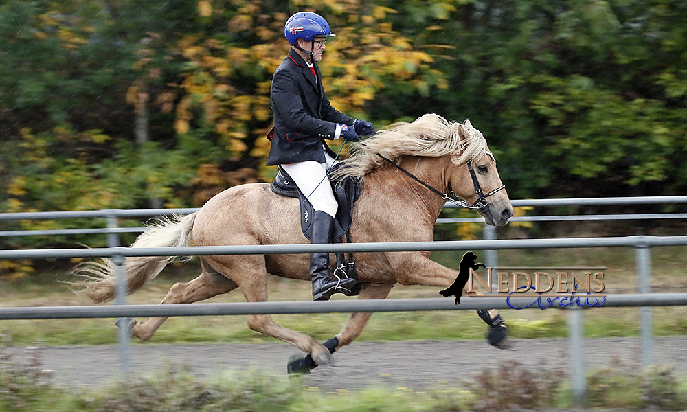 Beggi und Vicky toppen PP1 in Lingen, V1 an Yoni, Franzi