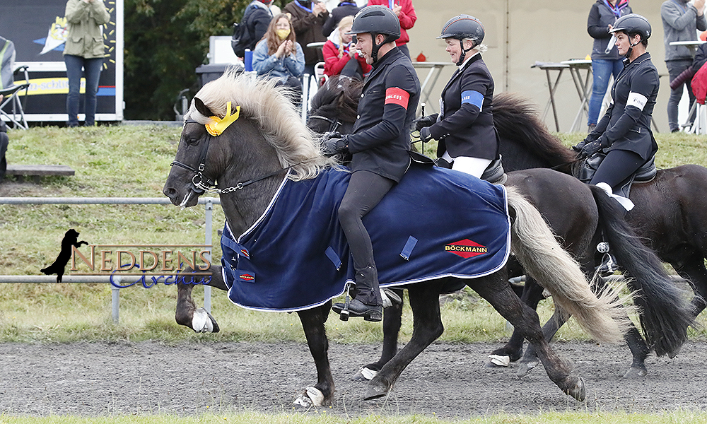 Lingen: Siggi dominiert T1, T3 an Anna-Lisa und Fanny