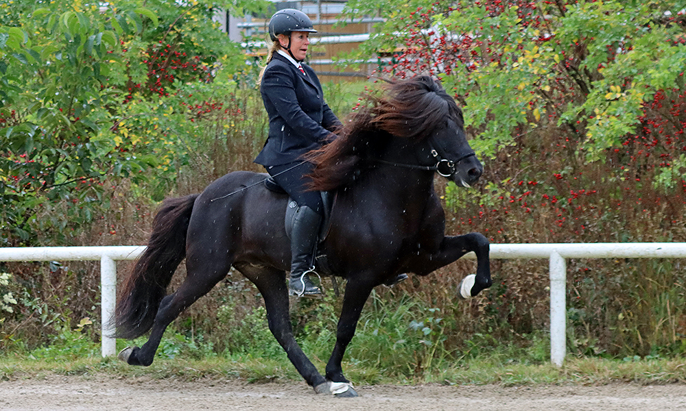 AT: Jubel bei Dani & Vani, Eva & Katia, Doppel-Rutger