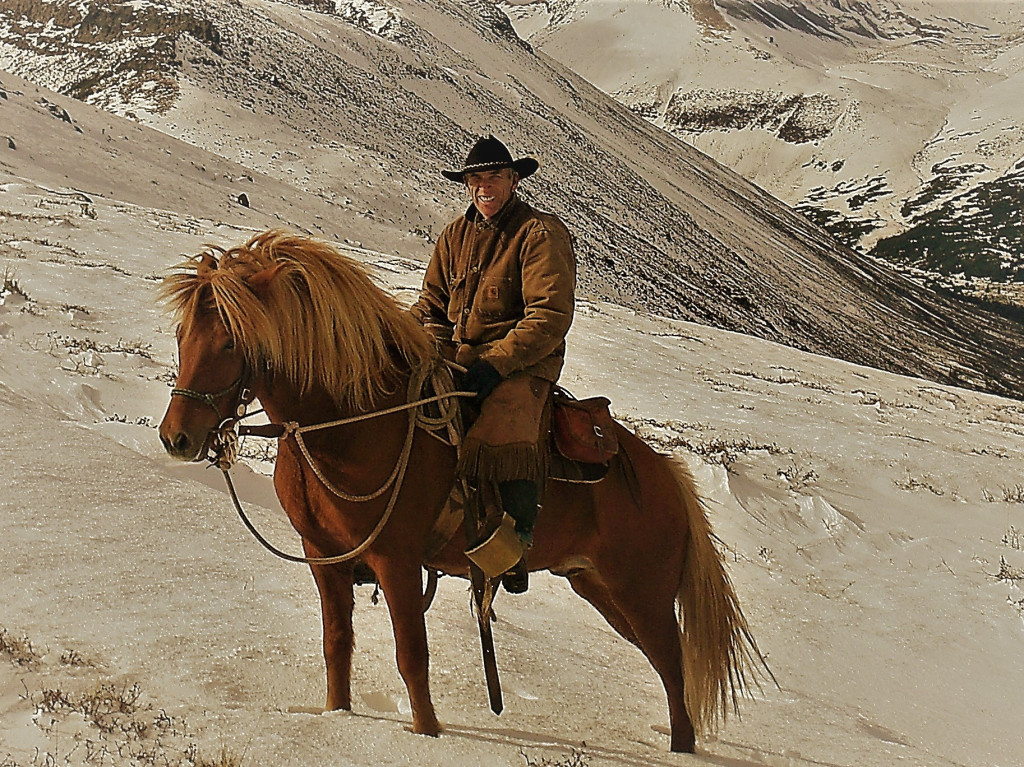 Númi:The Icelandic Cowboy Horse