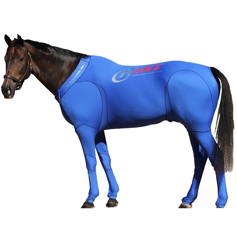 Compression technique for horses: how and why?