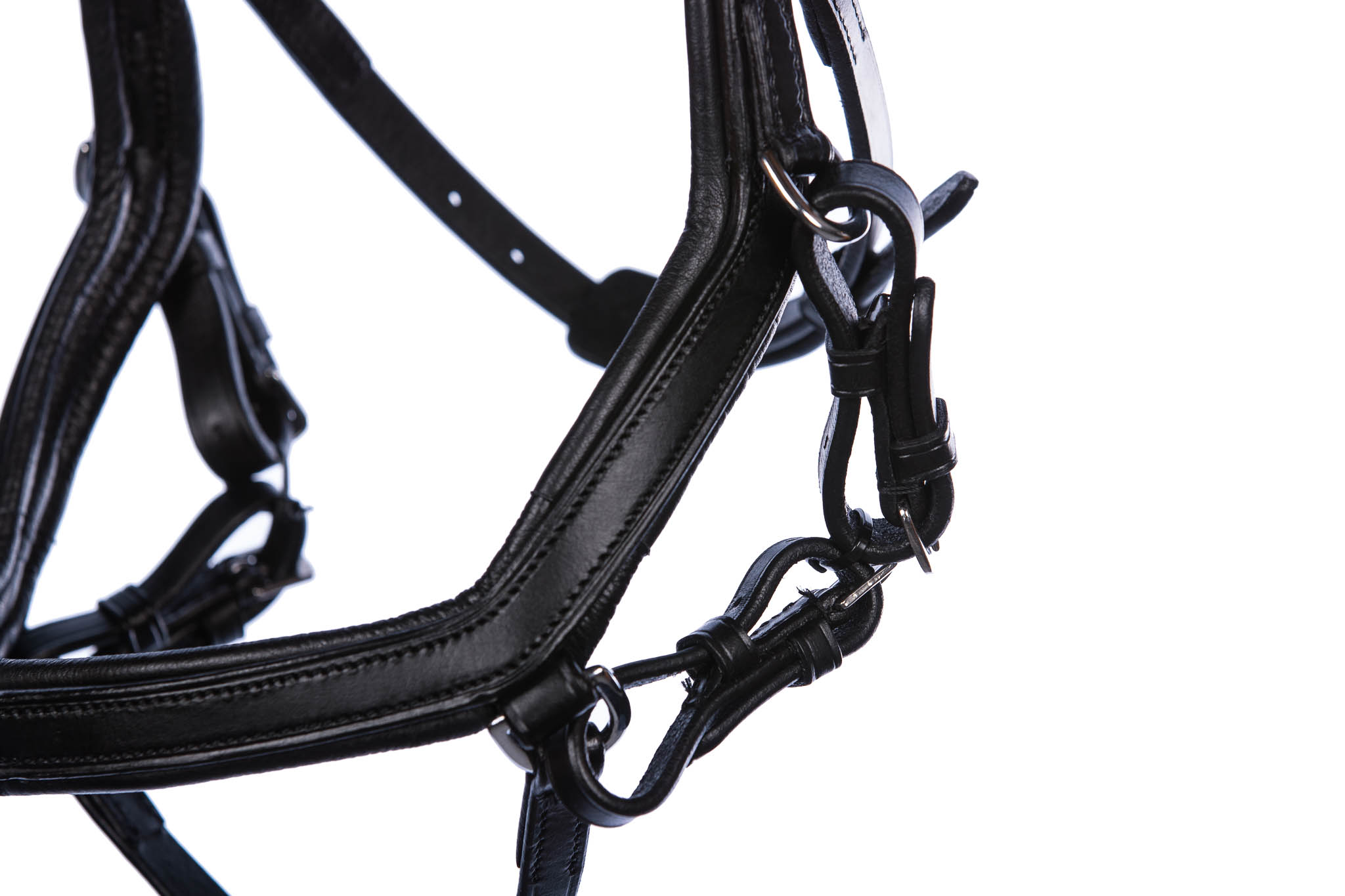 Review: Eques Start up Bridle