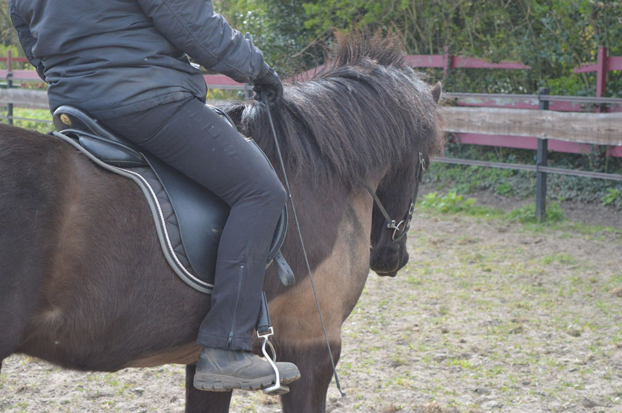 Rose of Leary: Interaction between horse & rider