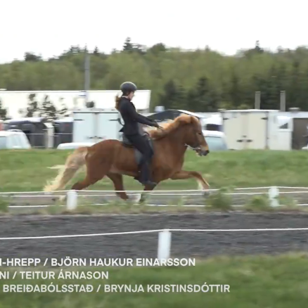 FIZO Hafnarfjörður: Glampi with highest score