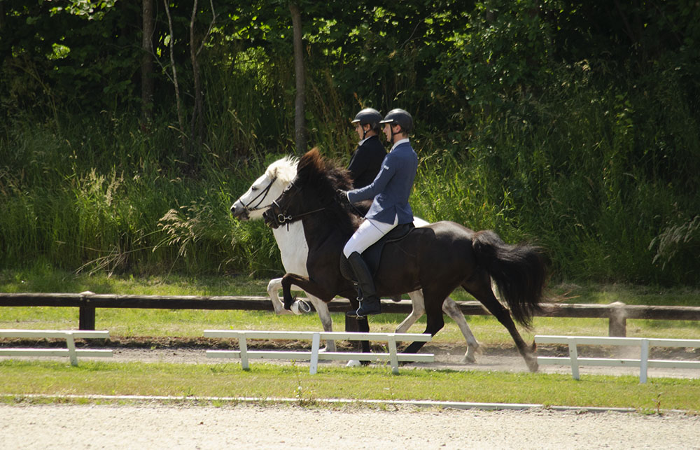 WR Exloo day 1 – Tom, Renée, Christa, Bram & Josefine take the lead