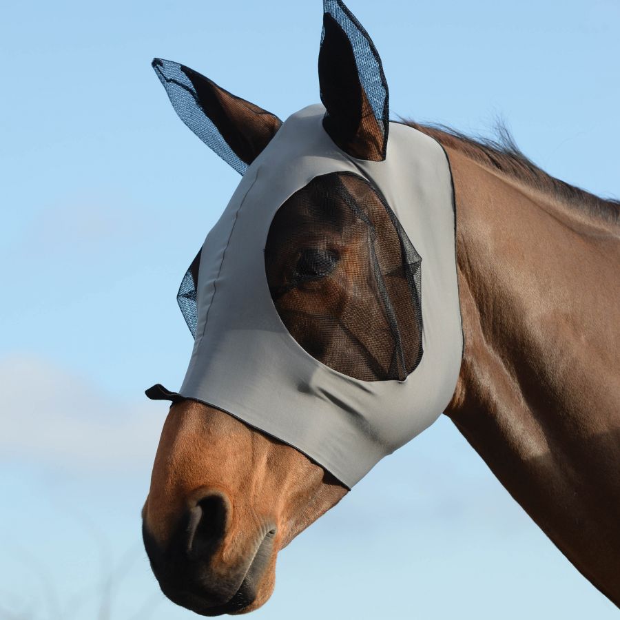 Review: Weatherbeeta flymask