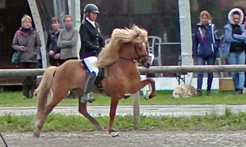 Lisa & Konsert toppen T1, 1a-Laune trotz Dauerregen