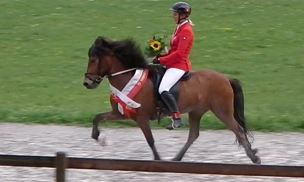 Andrea und Baldi vergolden Töltprüfung in Brunnadern