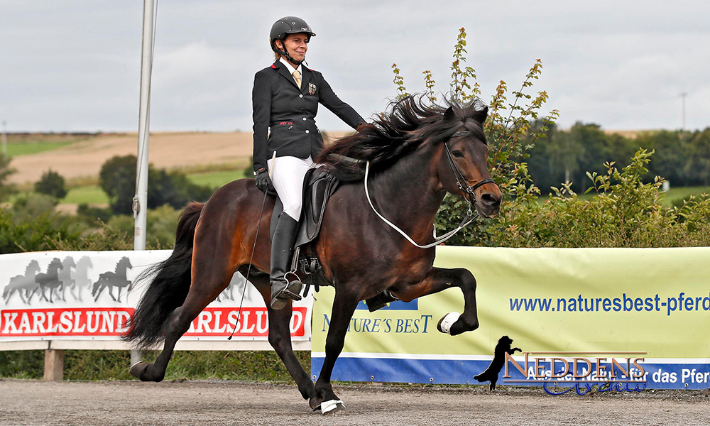 DIM-T2: Frauke und Óðinn nach Block 2 dominant vorn