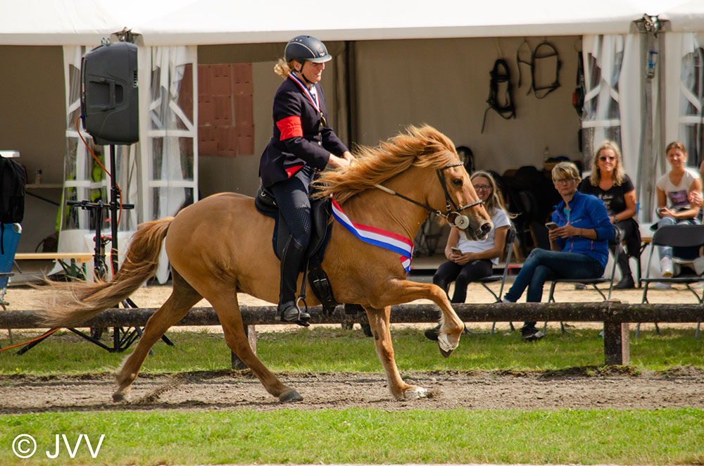 Dutch championships: Odette, Esmée, Monique & Anne-Lene