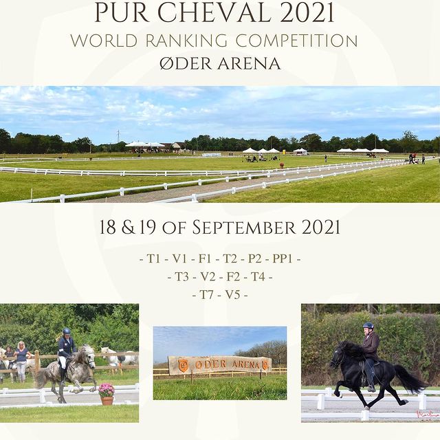 Great competition action at Pur Cheval 2021