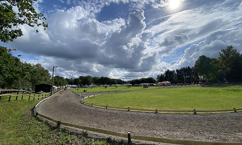 Hassel’scher Paarlauf im sonnigen Roderath