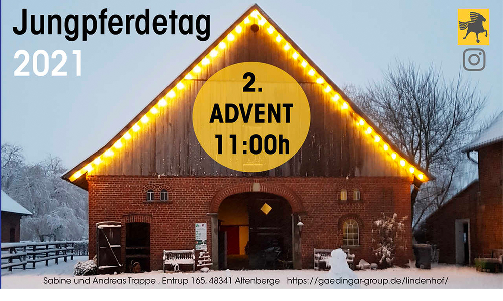 Junge Talente entdecken: Lindenhof, 2. Advent ab 11