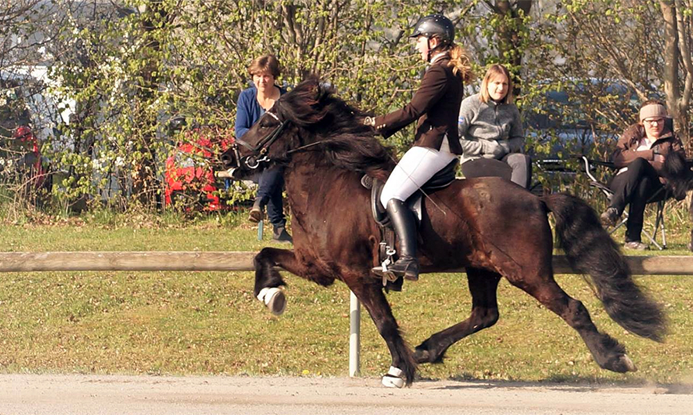 Starkes Starterfeld zum Ellenbacher Saisonauftakt