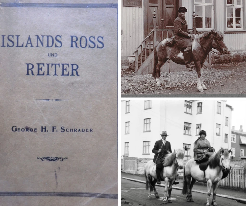 Schraders Erbe: “Horse welfare” in Island um 1913