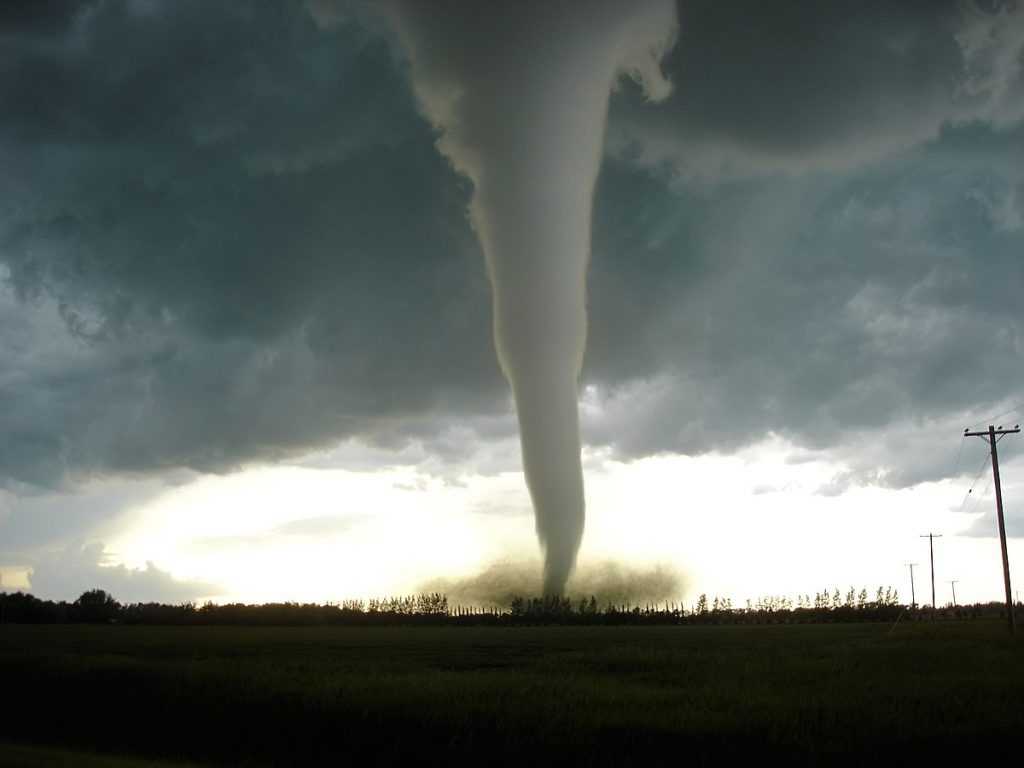 Wütende Tornados, klappernde Schlangen und coole Islandpferde