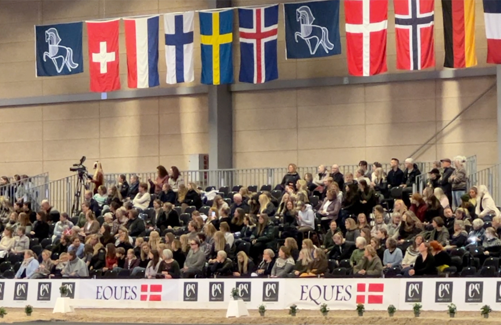 Herning live: Tag 3 läuft, Video-Highlights vom FR