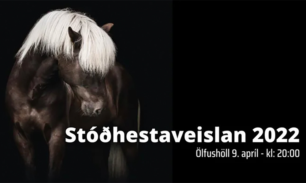 Stóðhestaveislan 22 Uhr auf Alendis – viel Spaß!