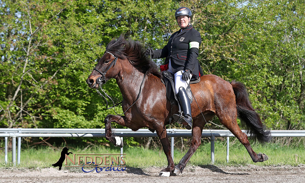 Lingen: Jolly & Smáralind gewinnen T2, T4 an Silke