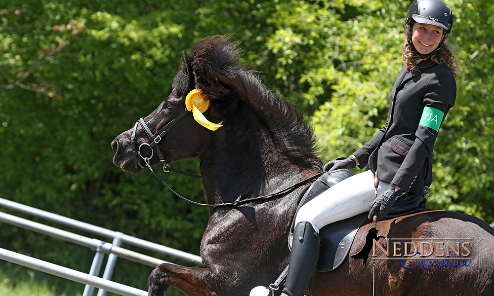 Shirin packt Lingener T1, Haukur den T3-Titel